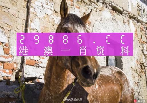 王中王資料一門肖中，深度解析與探索，王中王資料一門肖詳解，深度解析與探索