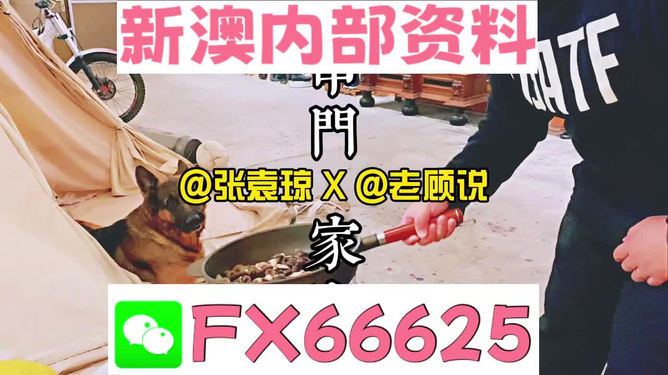 新澳門精準(zhǔn)資料大全，管家婆料解析與探索，澳門精準(zhǔn)資料大全，管家婆料解析與深度探索