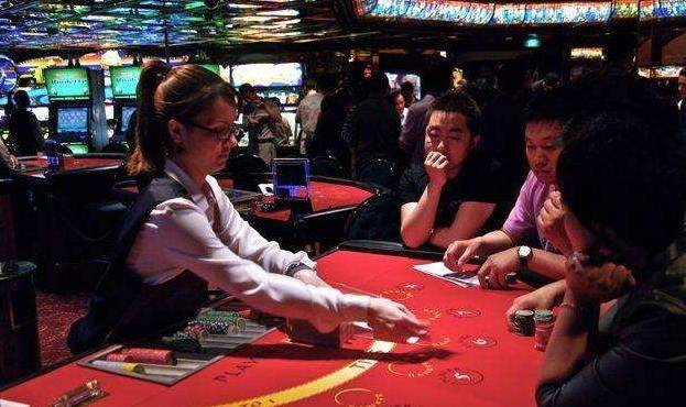 澳門金牛王中王一肖，探索背后的神秘與魅力，澳門金牛王中王一肖，神秘魅力背后的探索