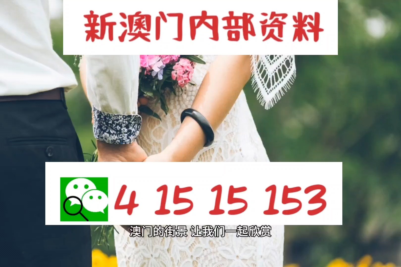 澳門特碼，探索其背后的秘密與魅力，澳門特碼背后的秘密與魅力探索