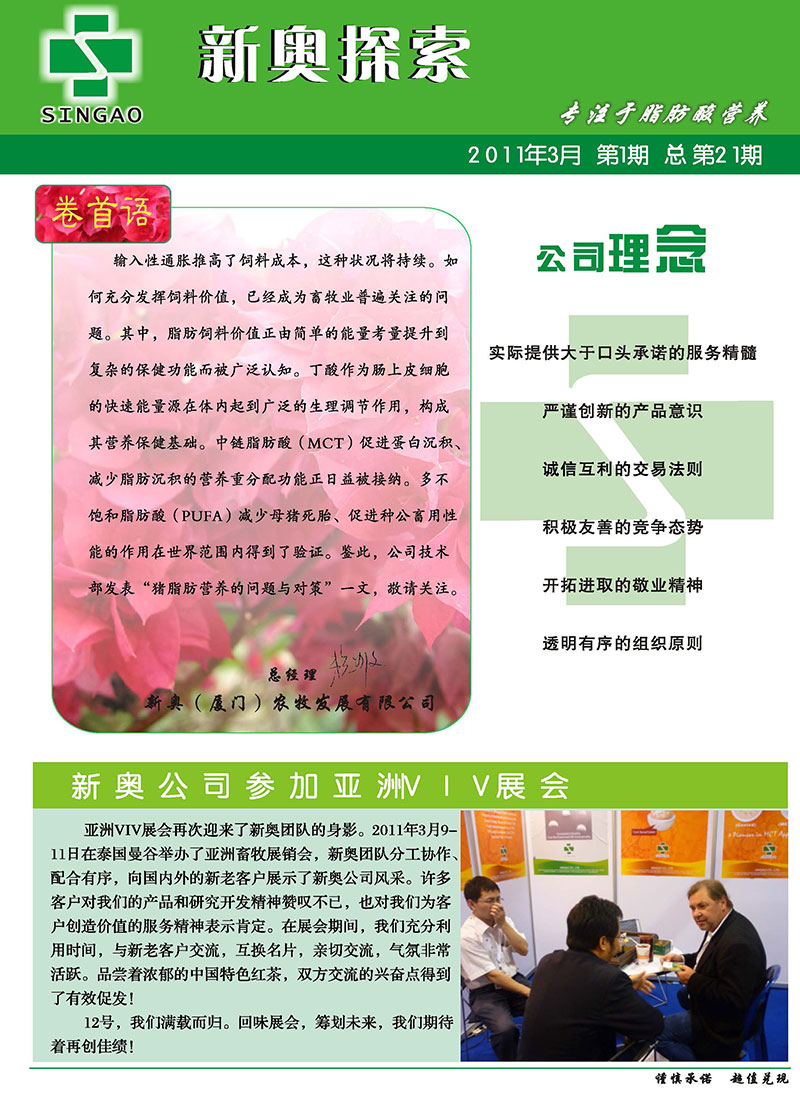 2025新澳正版資料精準(zhǔn)解析，2025新澳正版資料精準(zhǔn)解析手冊(cè)