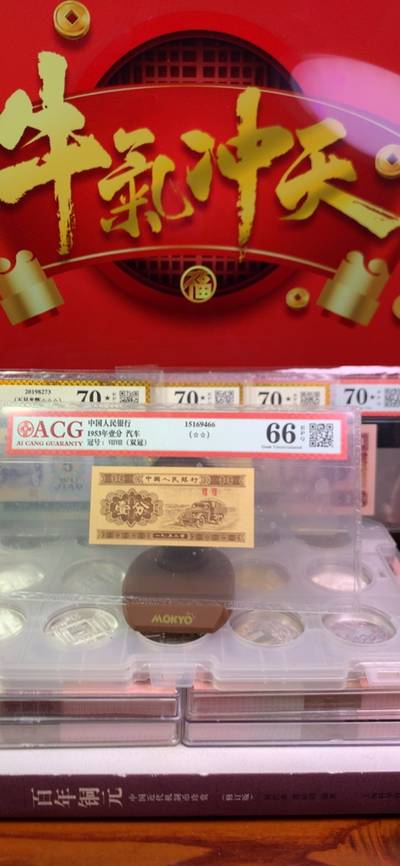 王中王一字一句拆一肖，深度解析背后的奧秘，王中王拆字揭秘，探尋背后奧秘揭曉生肖之謎