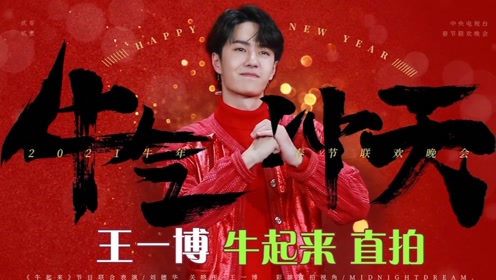 探尋王中王，揭秘發(fā)個王中王一肖中特背后的奧秘，揭秘王中王，探尋發(fā)個王中王一肖中特背后的神秘奧秘