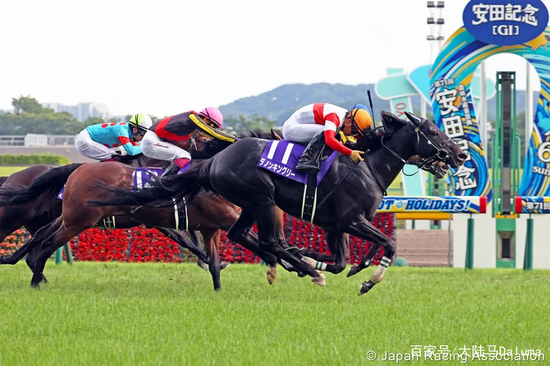 香港王中王與一馬中特肖的獨(dú)特魅力，深度解析與探索，香港王中王與一馬中特肖的獨(dú)特魅力，深度探索與解析