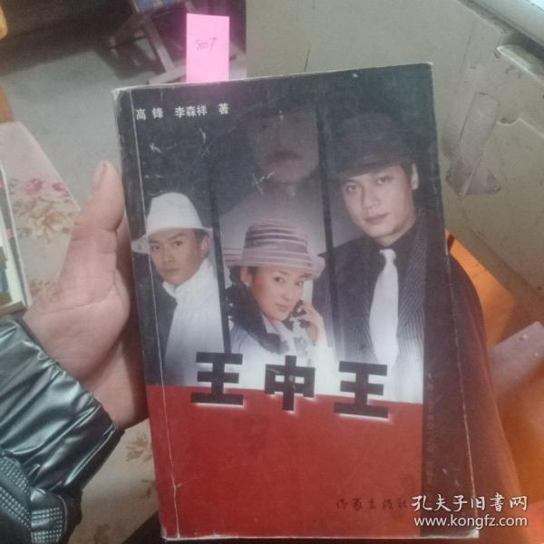 王中王資料一肖中天，深度解析與探索，王中王資料一肖中天，深度剖析與探索