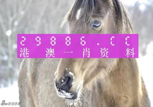 澳門一肖一碼背后的故事，精準(zhǔn)背后的秘密與傳奇，澳門一肖一碼背后的秘密與傳奇故事揭秘
