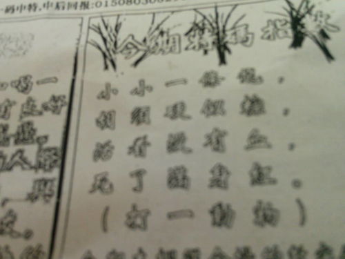 揭秘必中劉伯溫猜一生肖的神秘面紗，揭秘劉伯溫生肖預(yù)測背后的神秘面紗