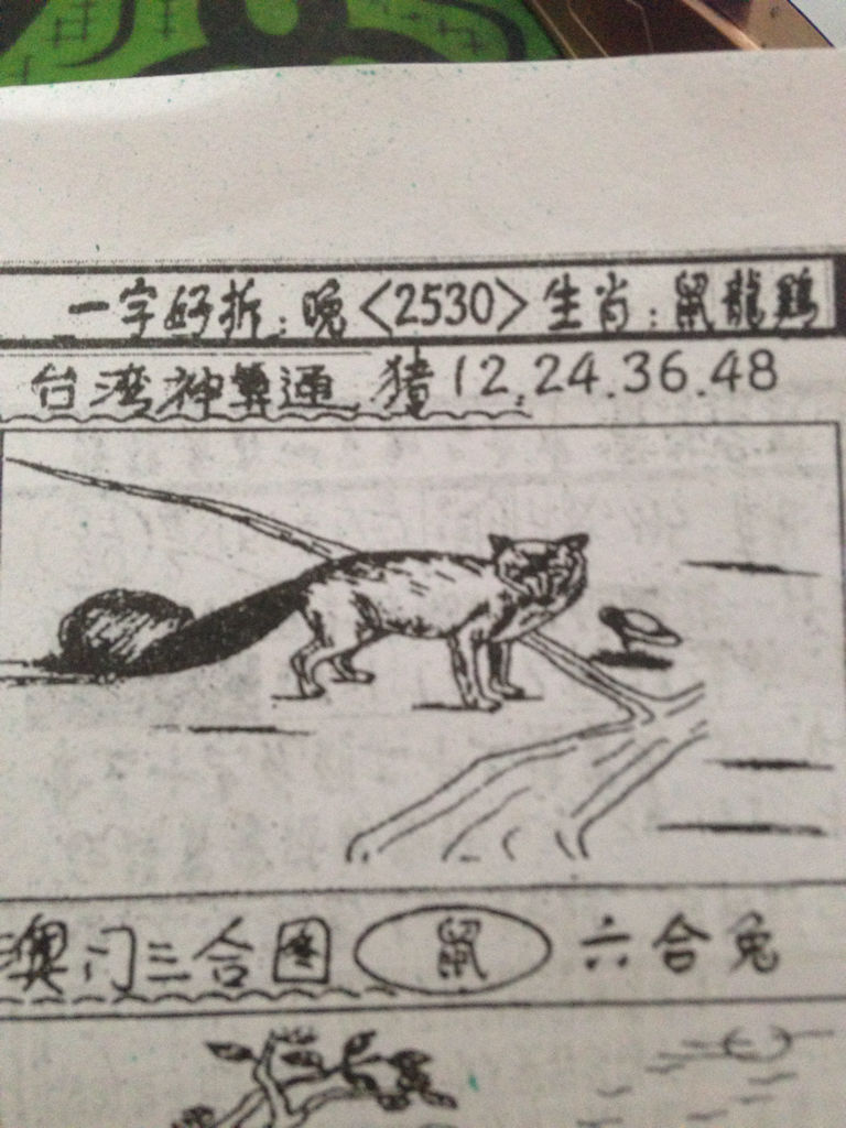 揭秘生肖奧秘，看圖猜一生肖劉伯溫的傳奇故事，揭秘生肖奧秘，劉伯溫傳奇故事中的生肖之謎探索