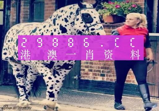 王中王一肖一特一中香港，探索關(guān)鍵詞背后的故事，香港關(guān)鍵詞背后的故事探索，王中王一肖一特一中
