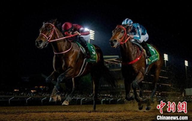 香港王中王一肖中特馬，探索背后的奧秘，香港王中王一肖中特馬背后的奧秘探索