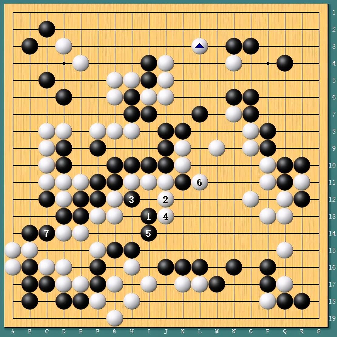 王中王四肖一碼資料論壇，探索與解析，王中王四肖一碼資料論壇，深度探索與解析