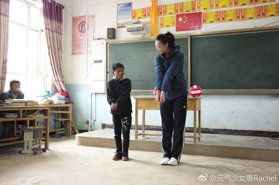 王中王平特一肖一大公開，深度解析與探索，王中王平特一肖公開，深度解析與探索揭秘