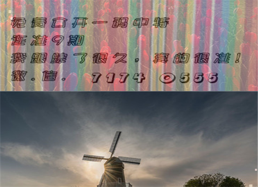 王中王四肖三期必出一期，揭秘彩票背后的秘密策略與技巧，揭秘彩票策略與技巧，王中王四肖三期必出一期之道