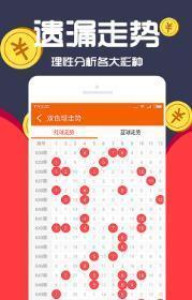 王中王一肖十，深度解析與SEO優(yōu)化策略，王中王一肖十深度解析與SEO優(yōu)化策略探討