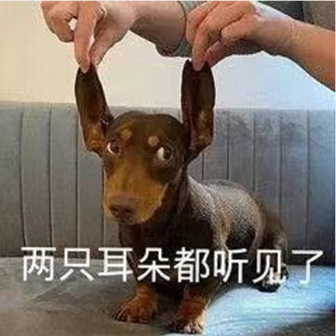 王中王四不象必中一肖，揭秘背后的秘密與策略，揭秘王中王四不象必中一肖背后的秘密與策略之道