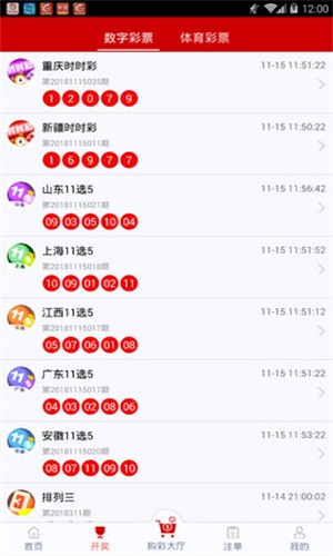 一碼一肖，揭秘背后的秘密與探索其獨(dú)特魅力，揭秘一碼一肖背后的秘密與獨(dú)特魅力探索