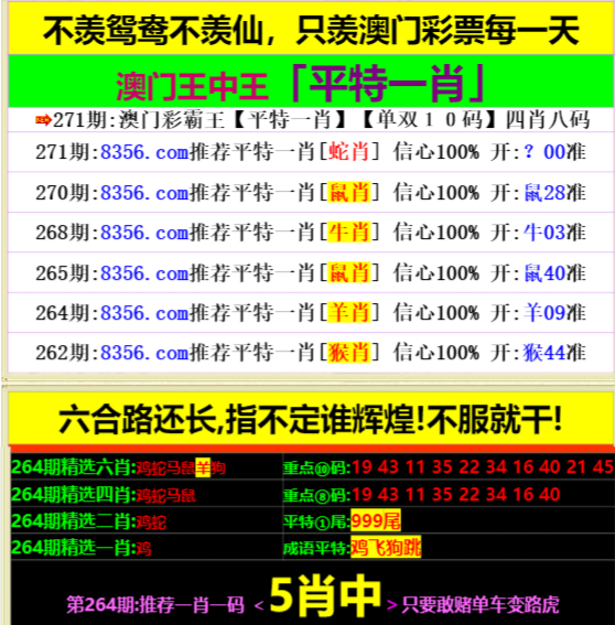 香港王中王掛牌一肖，揭秘背后的秘密，揭秘香港王中王掛牌一肖背后的秘密