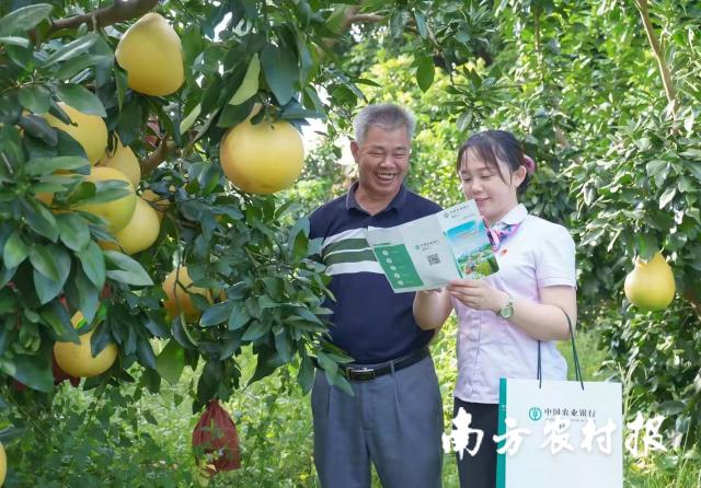 資料大全正版資料2025，一站式獲取所有你需要的信息，資料大全正版資料2025，一站式獲取所有信息總匯