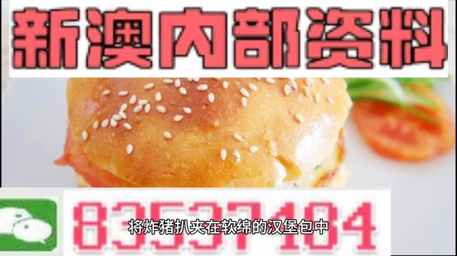 2025新澳正版資料精準(zhǔn)解析，2025新澳正版資料精準(zhǔn)解析手冊(cè)