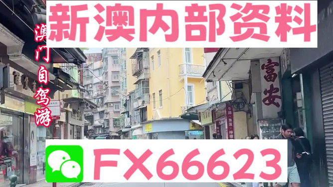 港澳免費(fèi)精準(zhǔn)資料大全——探索與發(fā)現(xiàn)，港澳免費(fèi)精準(zhǔn)資料大全，深度探索與發(fā)現(xiàn)之旅