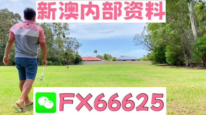 王中王一碼二肖，揭秘背后的秘密，揭秘王中王一碼二肖背后的秘密