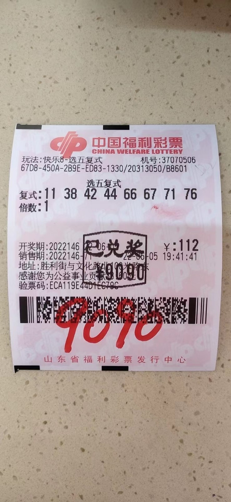 揭秘002期王中王平特一肖，背后的故事與奧秘，揭秘王中王平特一肖背后的故事與奧秘（第002期）