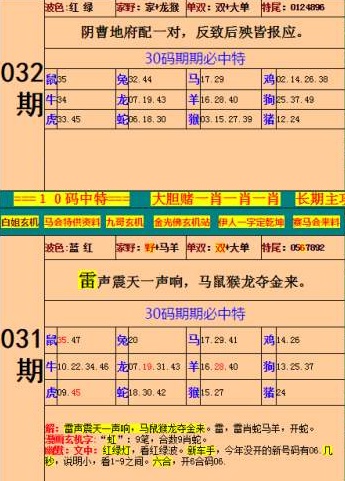 王中王特馬資料最準一肖——揭秘精準預(yù)測的秘密，揭秘王中王特馬資料最準預(yù)測，一肖精準預(yù)測的秘密