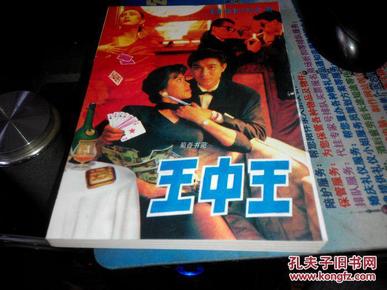 王中王資料一肖中特小說(shuō)，深度解析與探索，王中王資料一肖中特小說(shuō)的深度解析與探索之旅
