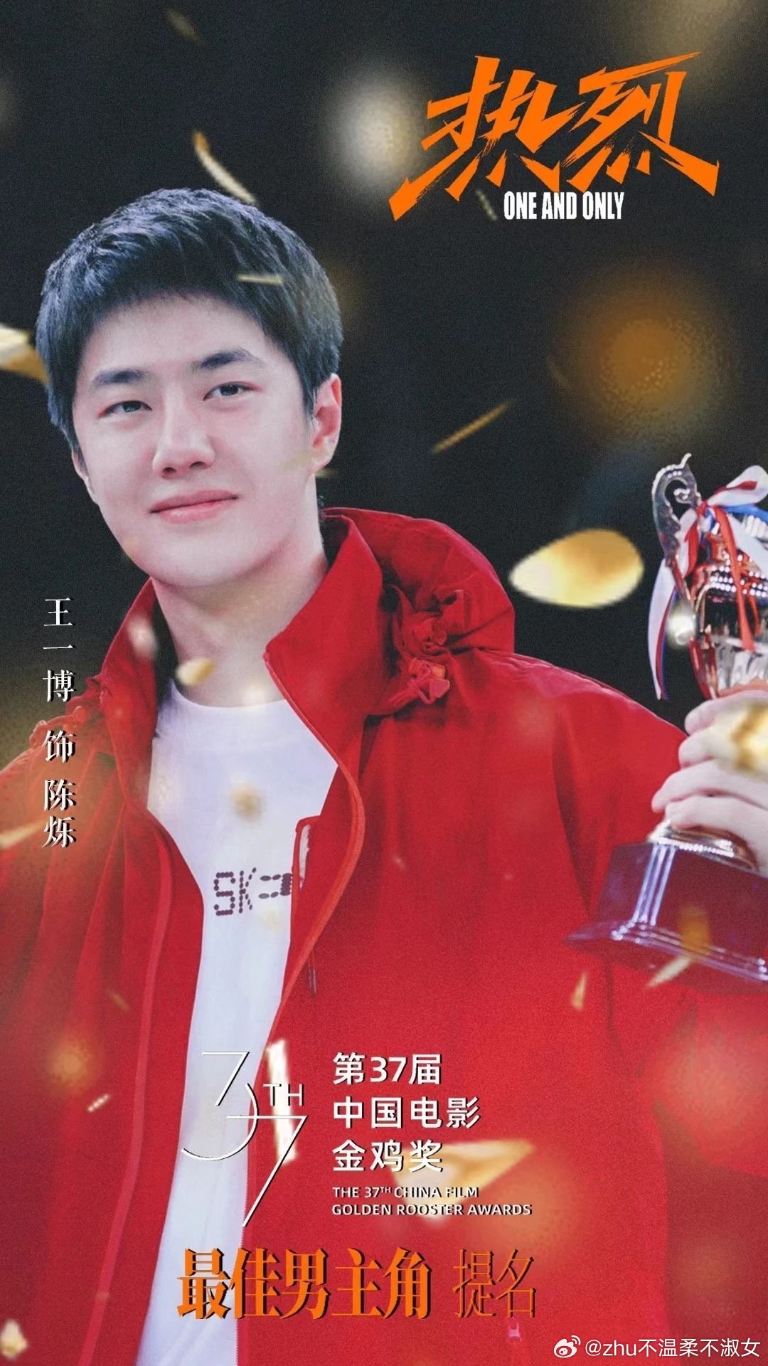 王中王一肖一特一中一中，探尋背后的故事與奧秘，探尋王中王一肖背后的故事與奧秘