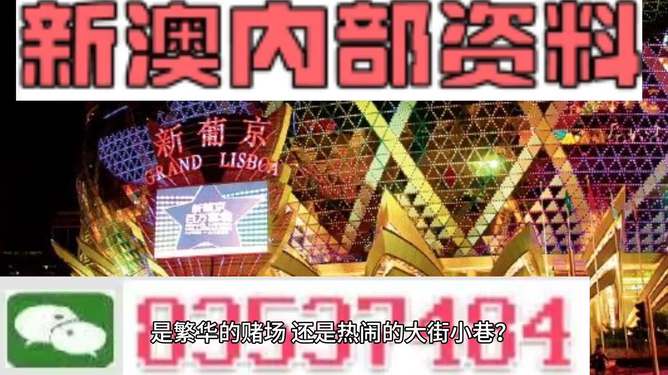 新澳門精準(zhǔn)資料大全管家婆料，探索與解析，澳門精準(zhǔn)資料大全解析，探索管家婆料內(nèi)幕