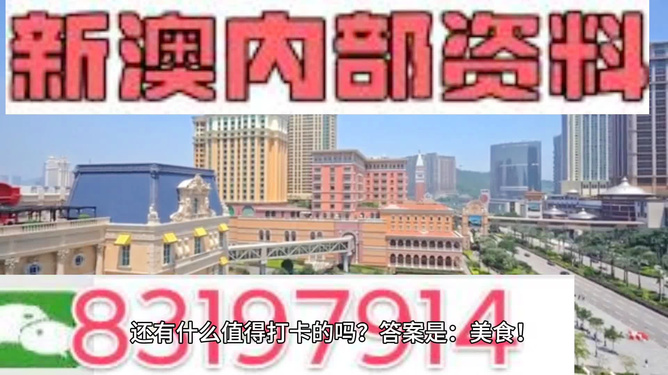 澳門(mén)彩天天免費(fèi)精準(zhǔn)資料，探索與解析，澳門(mén)彩天天免費(fèi)精準(zhǔn)資料解析與探索