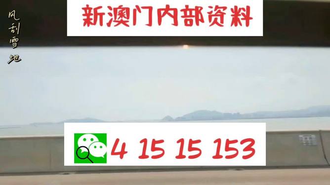 新澳2025最新資料生肖，深度解析與預(yù)測展望，新澳2025最新生肖資料深度解析與未來預(yù)測展望