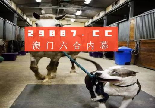 澳門一肖一碼一必中一肖，同舟前進(jìn)的奧秘與策略，澳門一肖一碼必中策略與前進(jìn)奧秘，同舟共濟(jì)的揭秘與策略