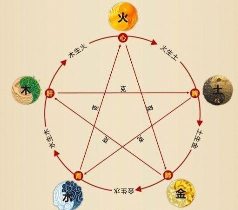 鐵算算盤4887最準(zhǔn)資料，揭秘其背后的秘密與優(yōu)勢，揭秘鐵算算盤4887，最準(zhǔn)資料背后的秘密與優(yōu)勢