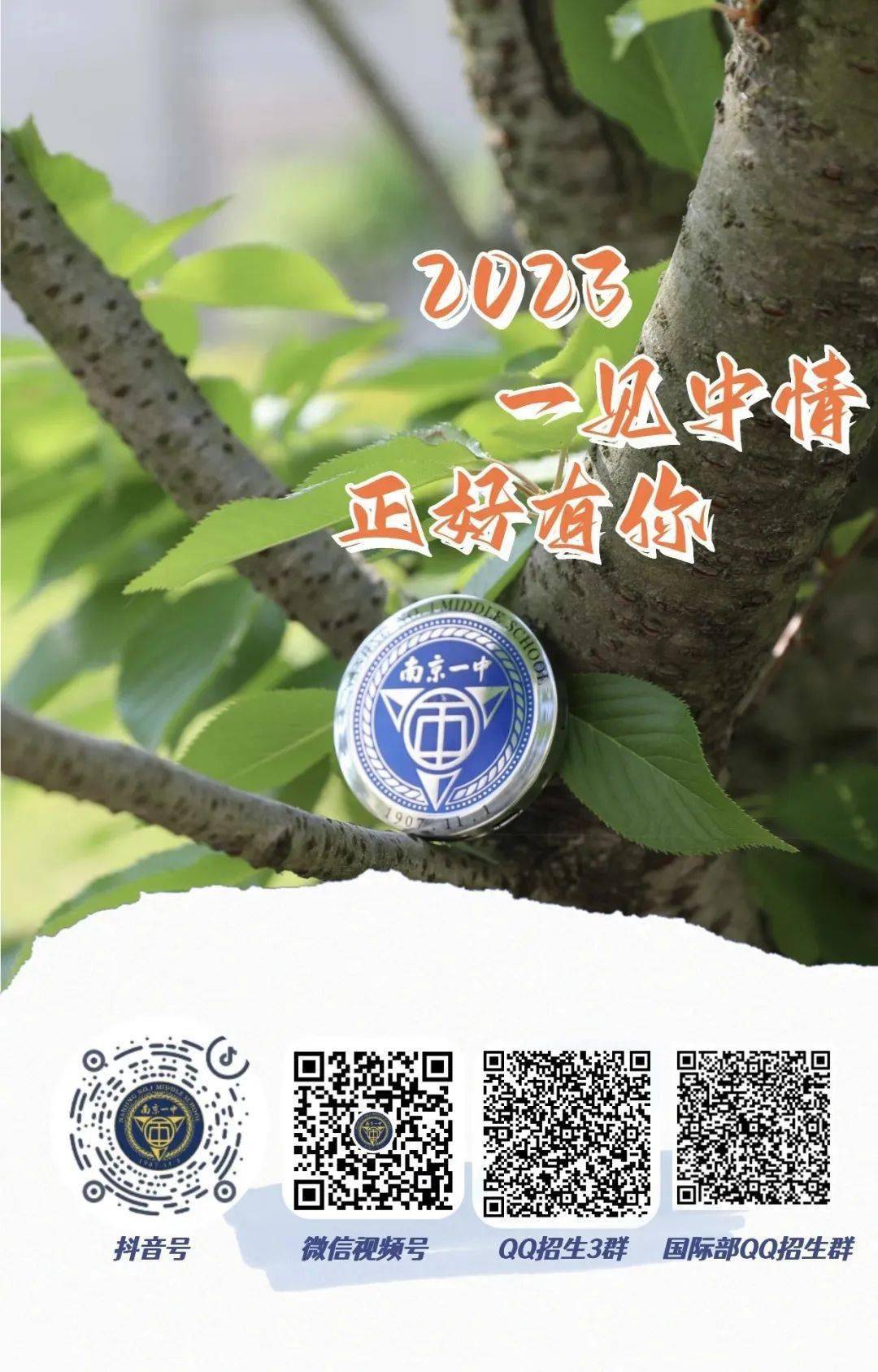 一碼一肖一特一中，揭秘背后的秘密與奧秘，揭秘一碼一肖一特一中背后的秘密奧秘