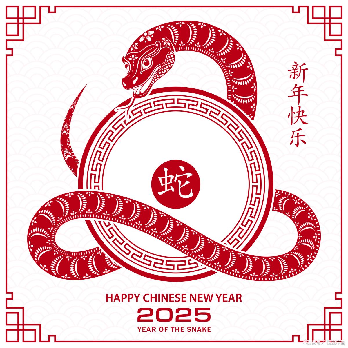 新澳2025年生肖圖，探尋未來(lái)運(yùn)勢(shì)與幸運(yùn)符號(hào)，新澳2025年生肖圖，探尋未來(lái)運(yùn)勢(shì)，揭秘幸運(yùn)符號(hào)
