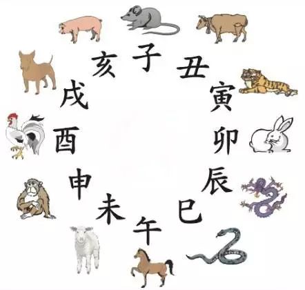 澳門天天彩期期精準(zhǔn)十二生肖預(yù)測(cè)——揭秘彩票秘密，澳門天天彩期期精準(zhǔn)十二生肖預(yù)測(cè)，揭秘彩票秘密之獨(dú)家解析