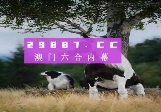 揭秘7777788888精準新跑狗——全方位解讀與體驗，揭秘精準新跑狗，全方位解讀與體驗7777788888跑狗秘籍