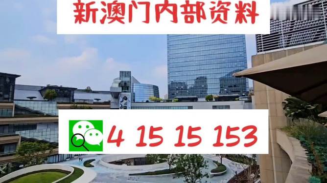芳草地2025澳門(mén)資料，探索未來(lái)的奧秘，探索澳門(mén)未來(lái)奧秘，芳草地資料揭示的藍(lán)圖 2025年展望