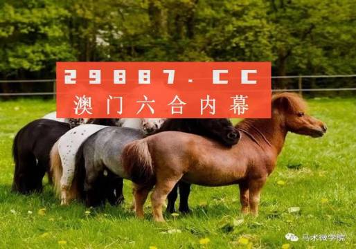 一馬中特內(nèi)部精準(zhǔn)資料免費(fèi)大公開，揭秘行業(yè)秘密，助力個人成長，揭秘行業(yè)秘密，一馬中特內(nèi)部精準(zhǔn)資料大公開，助力個人成長免費(fèi)獲取