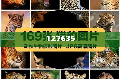 精準新傳真，揭秘數(shù)字組合7777788888的神秘面紗，揭秘數(shù)字組合7777788888的神秘面紗，精準新傳真解讀