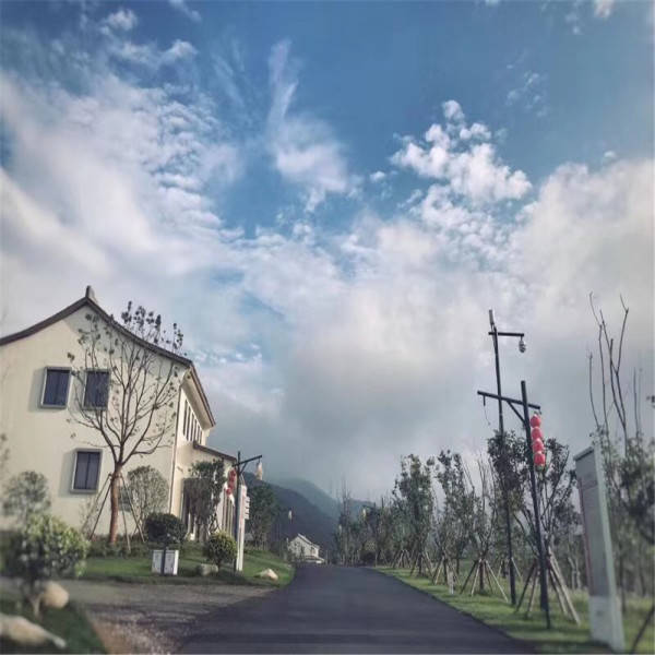 新奧今晚開一肖一特講解詞語，揭秘生肖與特肖的獨特魅力，揭秘生肖與特肖的獨特魅力，新奧今晚一開一特講解詞語