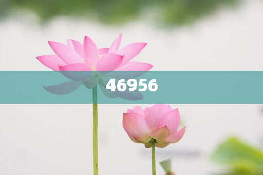 新奧集團(tuán)，邁向2025，天天開好彩的愿景與挑戰(zhàn)，新奧集團(tuán)邁向2025，實(shí)現(xiàn)天天開好彩的愿景與挑戰(zhàn)