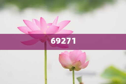 新澳今晚9點(diǎn)30分的精彩瞬間與背后故事揭秘，新澳之夜，精彩瞬間與幕后揭秘 9點(diǎn)30分的震撼時(shí)刻