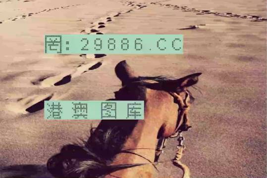 香港特馬資料王中王，揭秘背后的秘密，揭秘香港特馬資料王中王的背后秘密