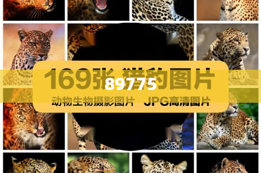關(guān)于新奧歷史開獎(jiǎng)記錄的最新信息，今天公布了嗎？，新奧歷史開獎(jiǎng)記錄最新信息公布了嗎？