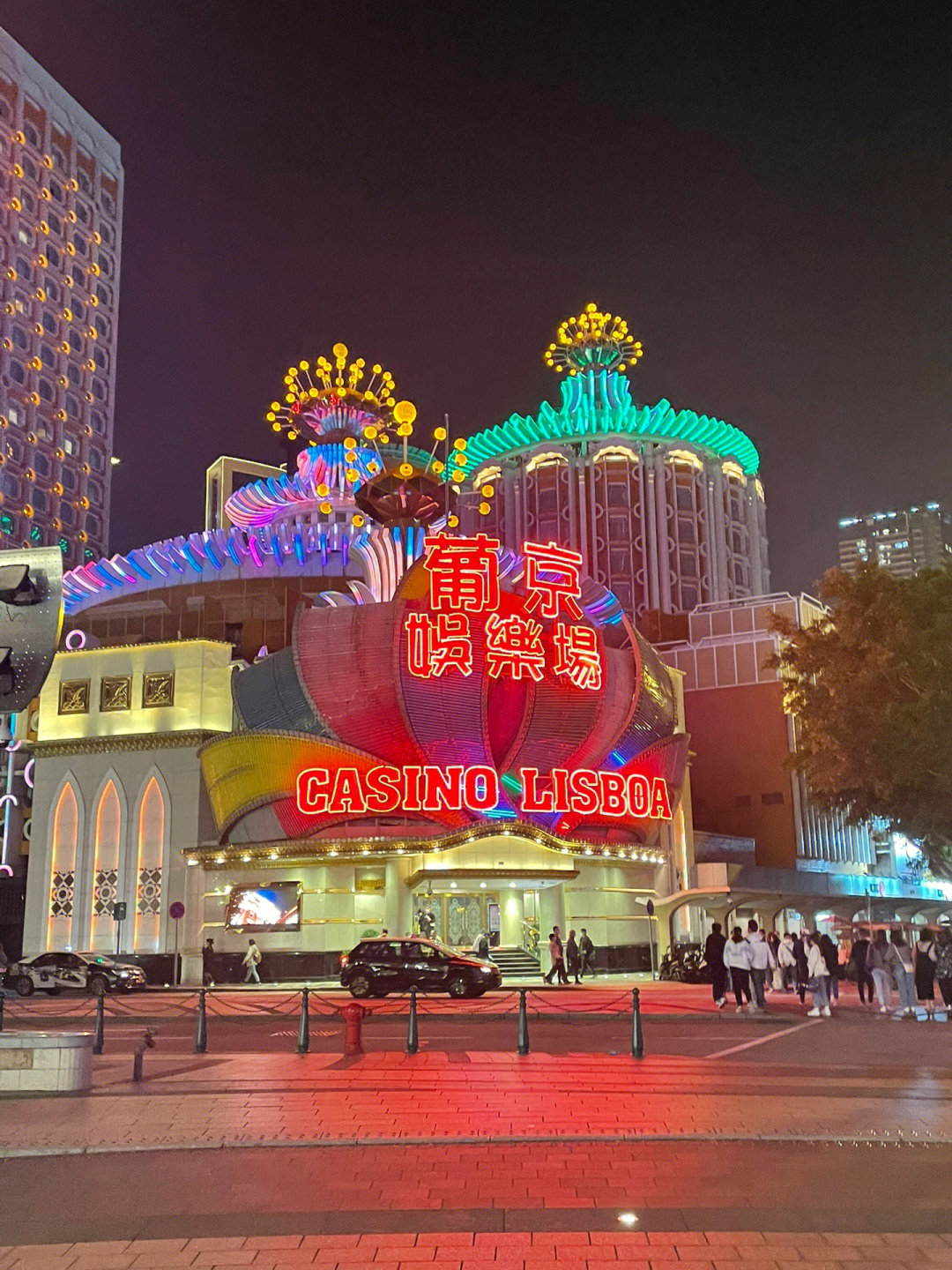 澳門今晚必開一肖一特芳草地，探索生肖與運(yùn)勢的神秘面紗，澳門生肖運(yùn)勢揭秘，探索今晚必開一肖一特芳草地神秘面紗的運(yùn)勢之旅