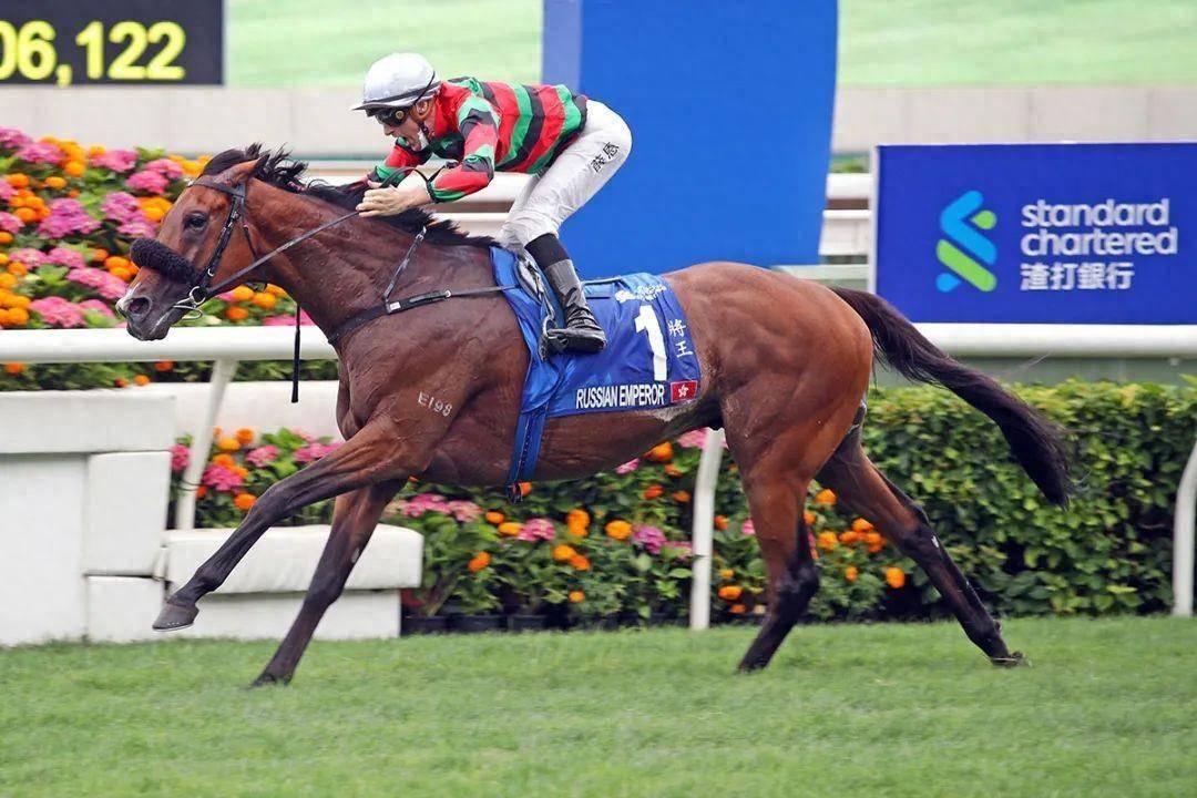 香港馬賽事，探索數(shù)字背后的激情與榮耀 7777788888，香港馬賽事，數(shù)字背后的激情與榮耀