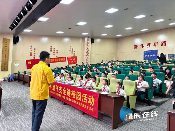 新奧49正版資料，探索與解析，新奧49正版資料深度探索與解析