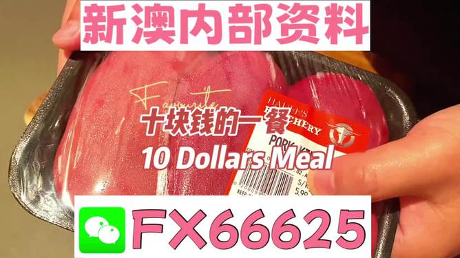 紅雙喜新澳資料，深度解析與SEO優(yōu)化策略，紅雙喜新澳資料深度解析與SEO優(yōu)化策略探討